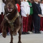 Programa Prevención en Acción Guardia Civil llegó a la secundaria técnica 82 de Morelia