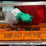 Michoacán afirma apoyo en fuerza productiva dentro del Festival Michoacán de Origen: Sedeco