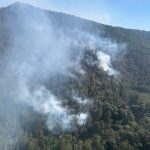 Controlado incendio forestal en zona del bosque de la Mariposa Monarca: Cofom