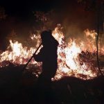 Brigadas ya se encuentran en combate de incendio en #Tuxpan: Cofom