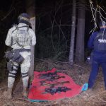 Agentes federales y estatales aseguran en Pátzcuaro 6 fusiles: SSP