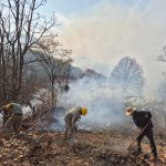 Brigadas forestales apagan 3 incendios en Hidalgo y Ocampo