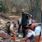 Apoya Zoológico de Morelia con traslado y resguardo de venados decomisados