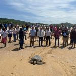 Michoacán, hogar de la tortuga marina; arranca temporada de protección y conservación