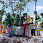 SCOP reubica más de 100 árboles por obra de distribuidor salida a Pátzcuaro