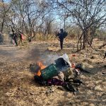 SSP destruye en Buenavista campamento ilícito y asegura 3 vehículos con reporte de robo