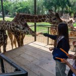 ¡Vive unas vacaciones inolvidables en el Zoológico de Morelia!