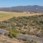 Más de 11 mil habitantes beneficiados con camino San José Cuaro-Tupátaro: Rogelio Zarazúa