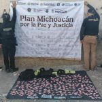 Aseguradas 270 dosis de metanfetamina en Zamora: SSP