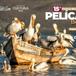 Murales, talleres y tradición: Vive el Festival del Pelícano Borregón del 20 al 22 de febrero