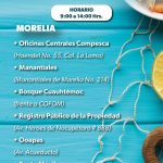 Ahorra en esta Cuaresma, compra pescados y mariscos directo del productor, te decimos dónde