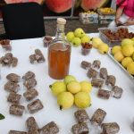 Sedeco lanza convocatoria para certificar la guayaba michoacana con Indicación Geográfica