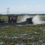 Michoacán rehabilitará 60 hectáreas del lago de Cuitzeo