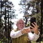 Bedolla celebra incremento del 64% en la migración de la Mariposa Monarca