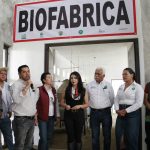 Biofábrica de Ario beneficiará a más de 500 productores de aguacate: Sader