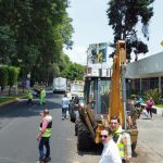Inicia SCOP etapa final de modernización del Paseo Lázaro Cárdenas en Uruapan
