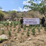 SSP y Defensa refuerzan operativos en Huetamo, destruyen más de 14 mil plantas de marihuana