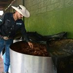Sedeco convoca a participar en el nuevo Consejo Michoacano del Mezcal