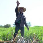 Invierte Sader más de 6.1 mdp para optimizar el uso del agua en cultivos de Taretan