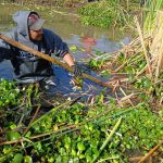 Con obras de conservación, Programa de Empleo Temporal blinda al lago de Pátzcuaro