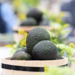Premio Michoacán al Producto de Origen busca reconocer la excelencia y el orgullo local